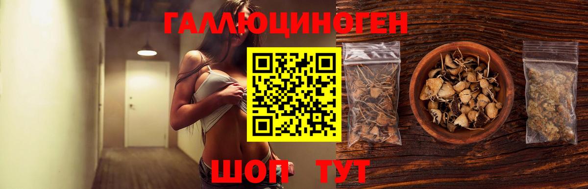 Псилоцибиновые грибы Psilocybe Лесной